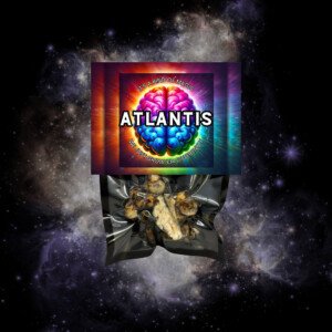 Atlantis magic truffels