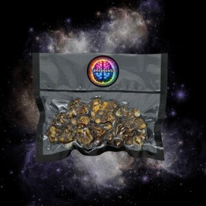 Tampanensis Magic Truffels - 100g