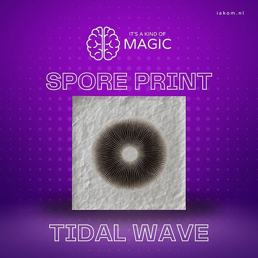 Tidal Wave – Psilocybe cubensis – Sporeprint - Afbeelding 2