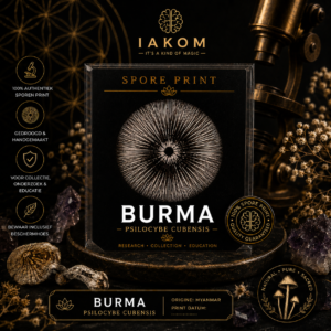 Burma - Psilocybe Cubensis - Sporeprint