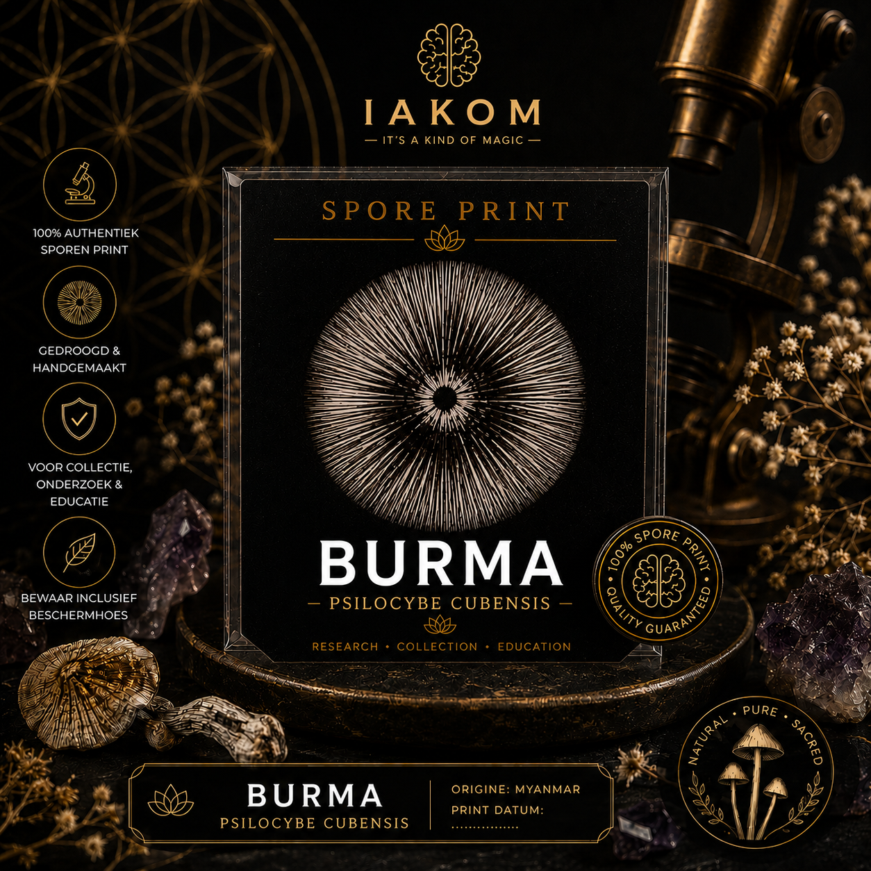Burma - Psilocybe Cubensis - Sporeprint