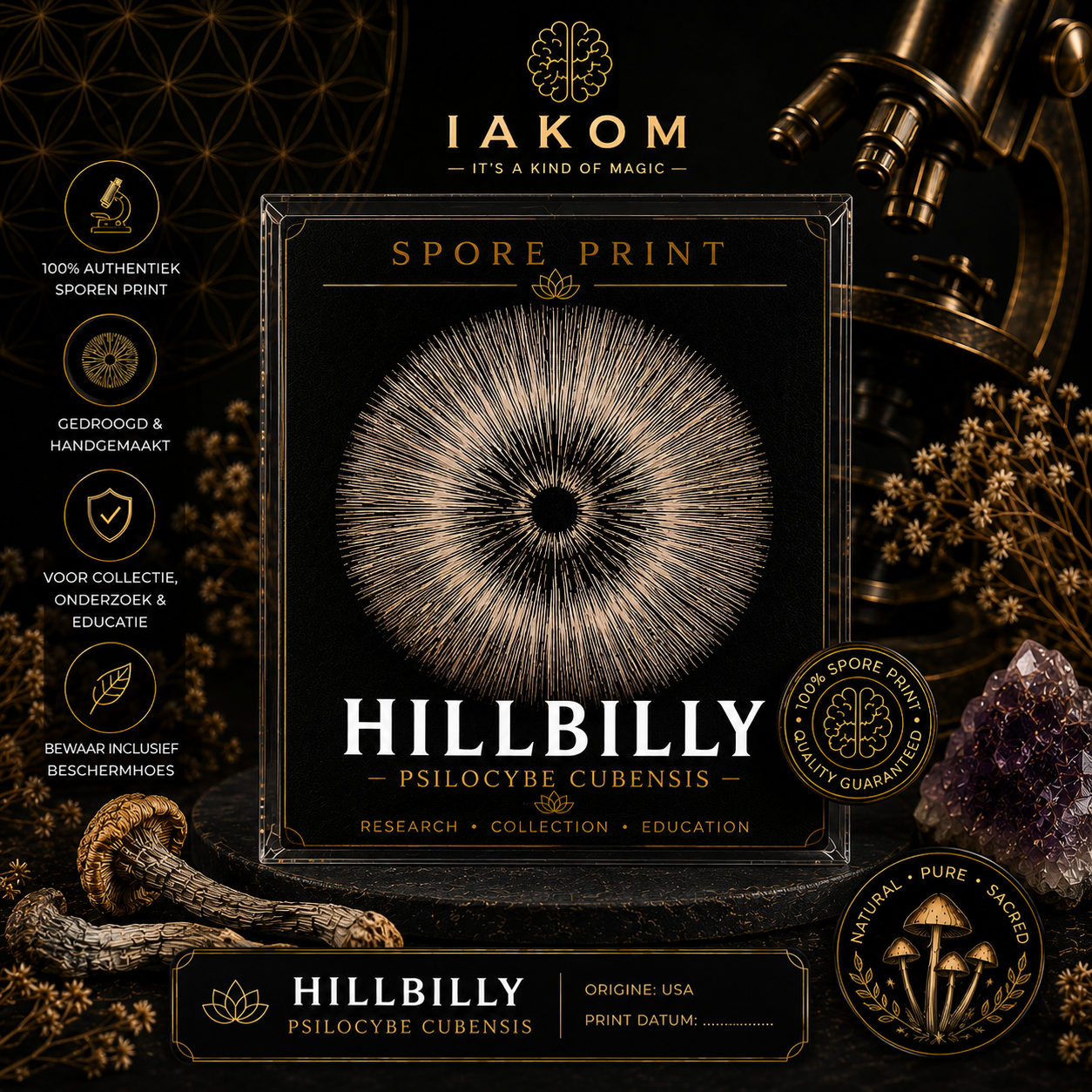 Hillbilly - Psilocybe Cubensis - Sporeprint