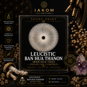 Leucistic Ban Hua Thanon (Ban Hua Thai) – Psilocybe cubensis – Sporeprint