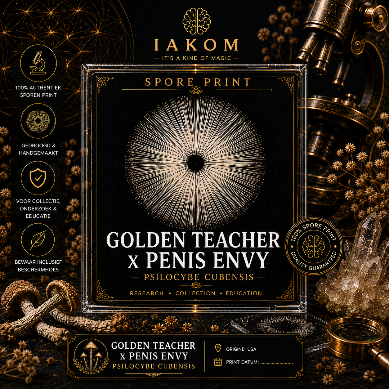 Penis Envy x Golden Teacher Sporenprint – PE Hawk