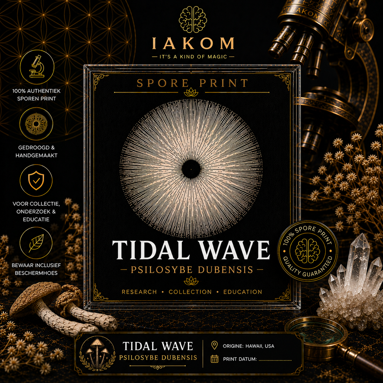 Tidal Wave – Psilocybe cubensis – Sporeprint