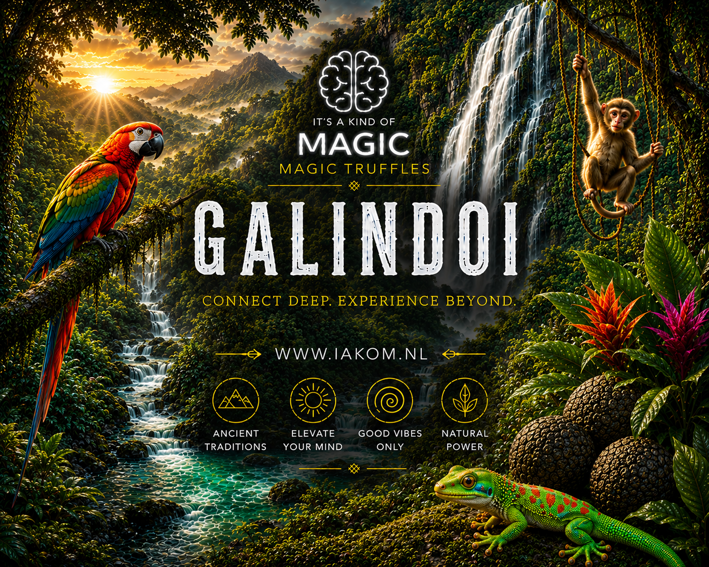 Galindoi Magic Truffels - 15g