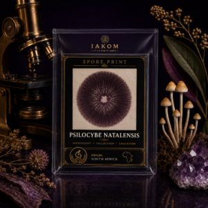 Natalensis - Psilocybe - Sporeprint