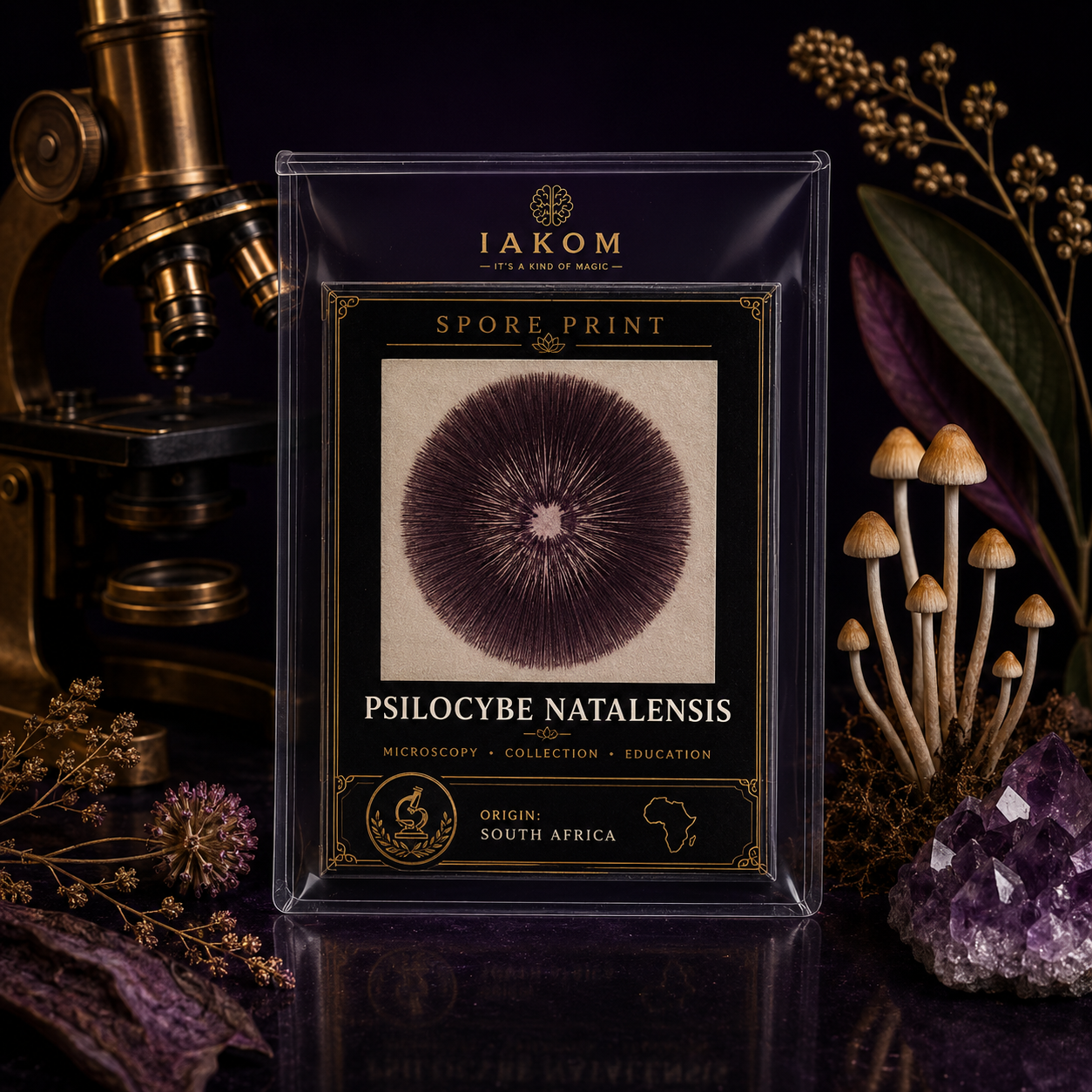 Natalensis - Psilocybe - Sporeprint