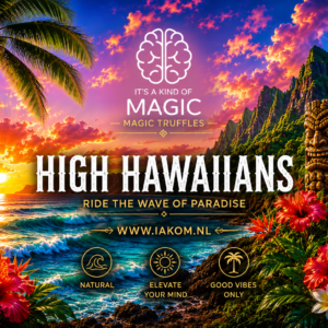 High Hawaiians Magic Truffel - 20gr