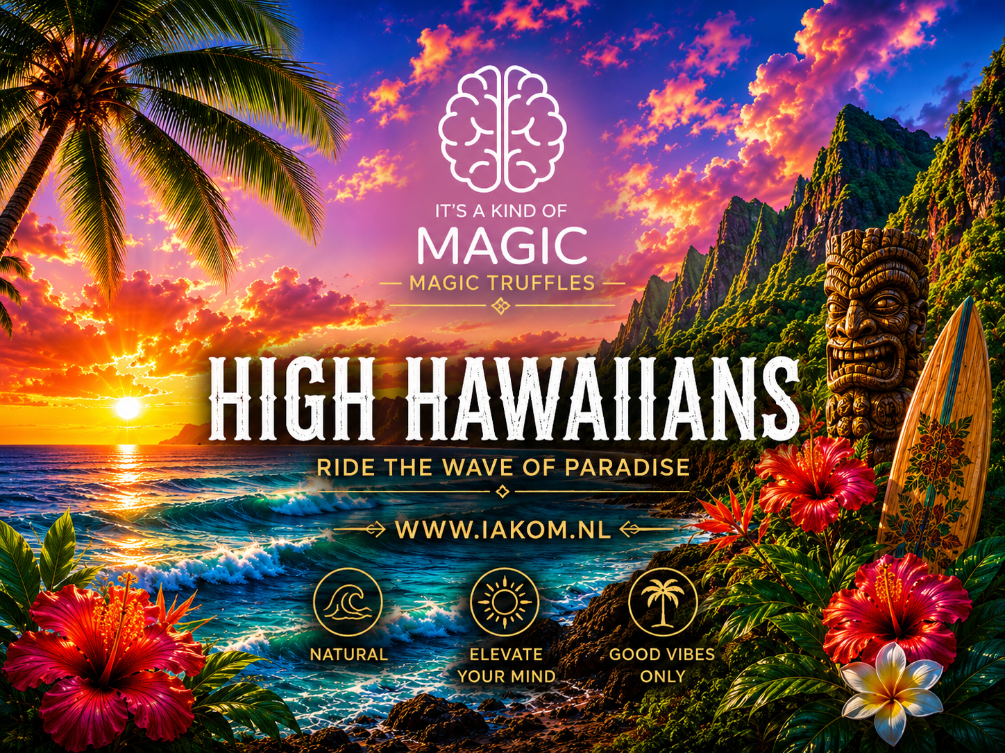 High Hawaiians Magic Truffel - 20gr