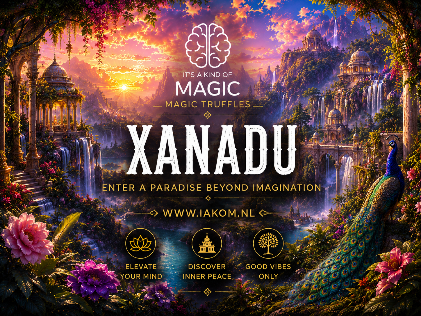 Xanadu Magic Truffel - 20 gr