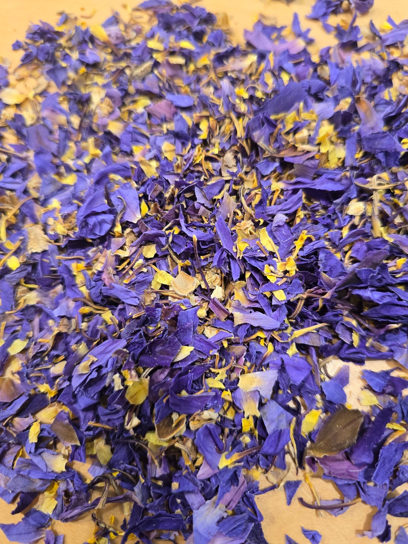 Blueberry - Blauwe lotus Puur - Afbeelding 3
